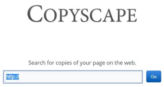 Eingabefeld des Duplicate-Content-Checkers copyscape