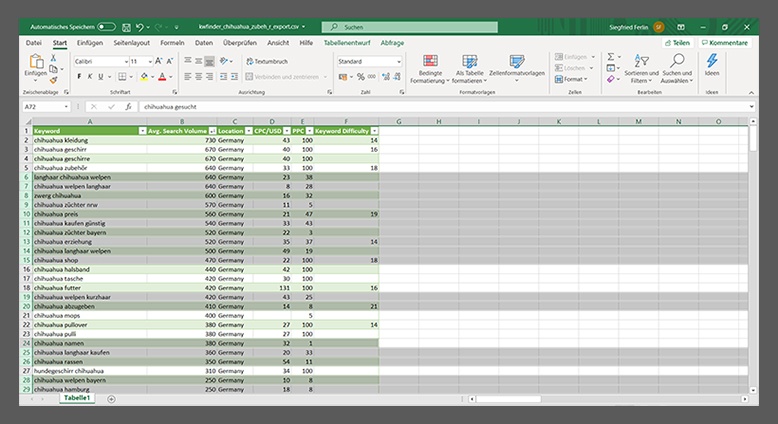 Detaillierte Excel-Liste aus einer Keyword-Recherche für die SEO-Planung.