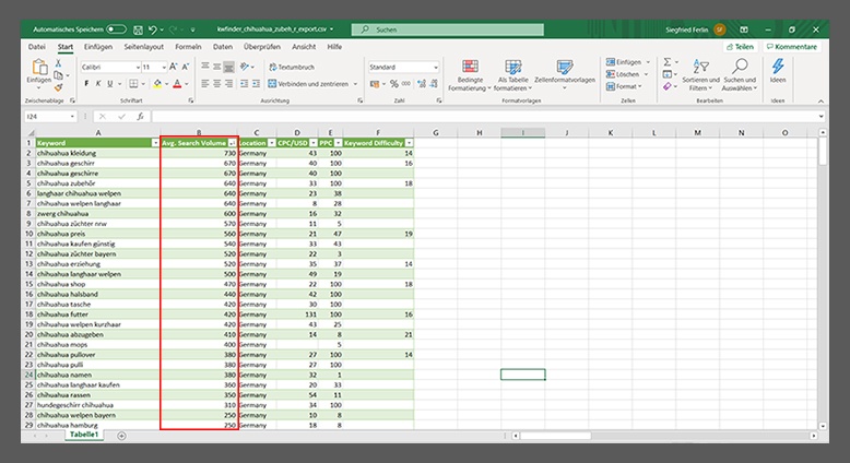 Excel-Tabelle mit einer umfangreichen Keyword-Recherche.