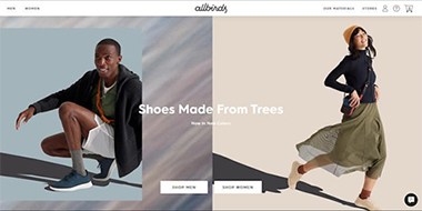 shopify stores fashion clothes: allbirds